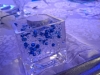 7-cm-square-vase-gel-beads
