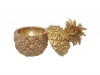 TROPIC GOLD PINEAPPLE 22CM TBOX
