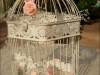bird-cage-peach-decor