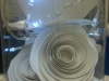 rose-light