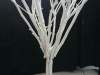 white-ghost-tree