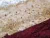 beaded-lace-runner