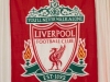 liverpool-birthday-party-theme
