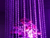flowers-wedding-setting-pentarosa-hall-johannesburg