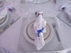 blue-white-wedding-pentarosa