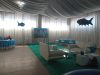 lounge-area