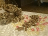 potchefstroom-banquet-hall-candy-buffet