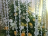 stage-arrangement
