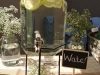 water-dispenser