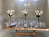 welcome-drinks-table